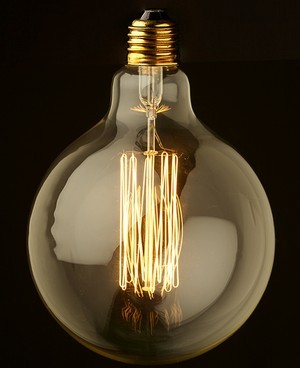 G95 Vintage Edison Bulbs