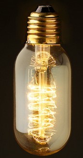 T45 Vintage Edison Bulbs
